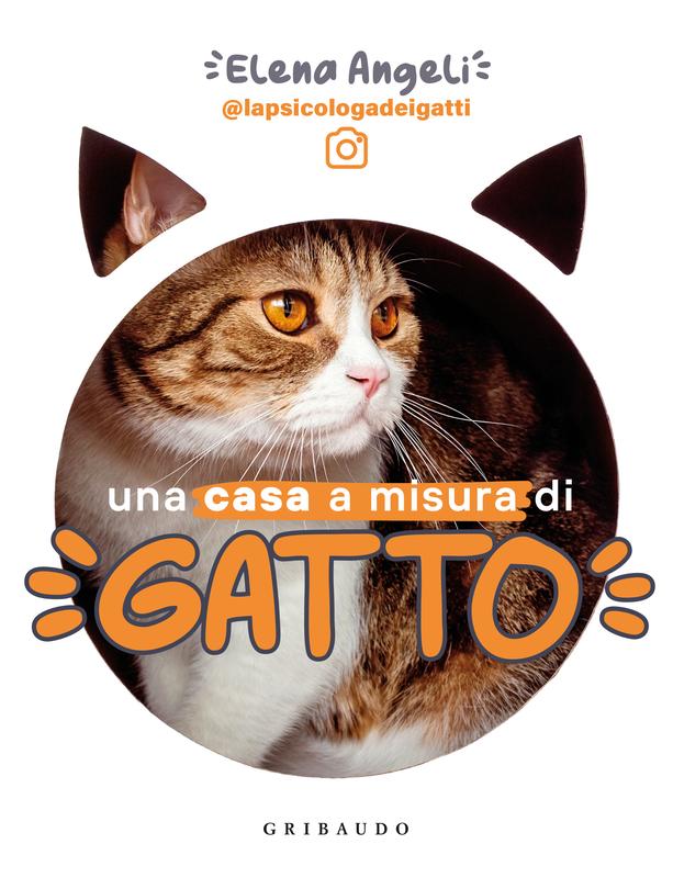 2024."Una casa a misura di gatto". Amelia Valletta collabora con Gribaudo Editore nel libro della @psicologadeigatti